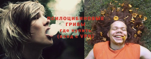 марихуана Абаза