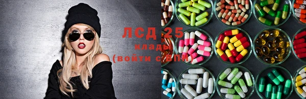 apvp Корсаков