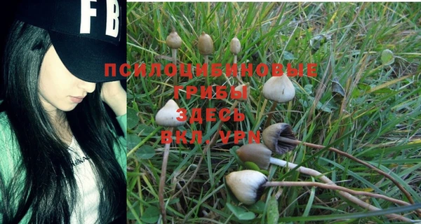 молекула духа Абдулино