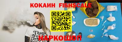 дмт Кингисепп