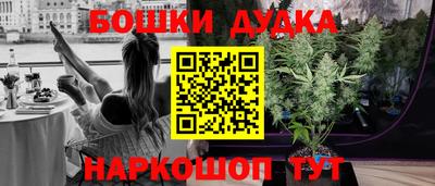 дмт Кингисепп