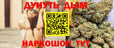 дмт Кингисепп