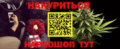дмт Кингисепп