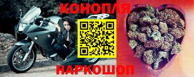 дмт Кингисепп