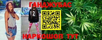дмт Кингисепп