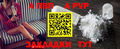 дмт Кингисепп