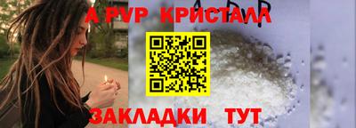 дмт Кингисепп
