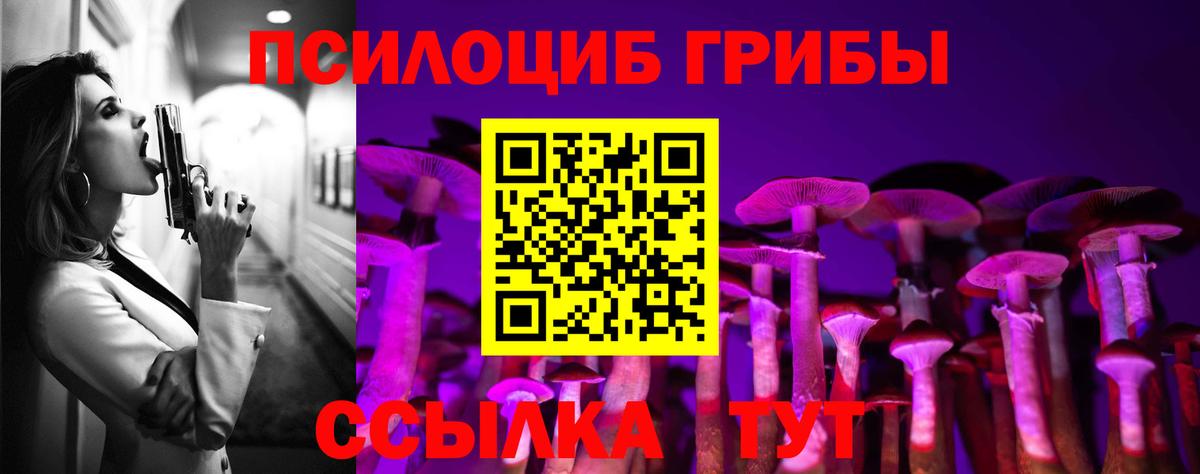 Галлюциногенные грибы MAGIC MUSHROOMS  Вход с VPN  Сызрань 